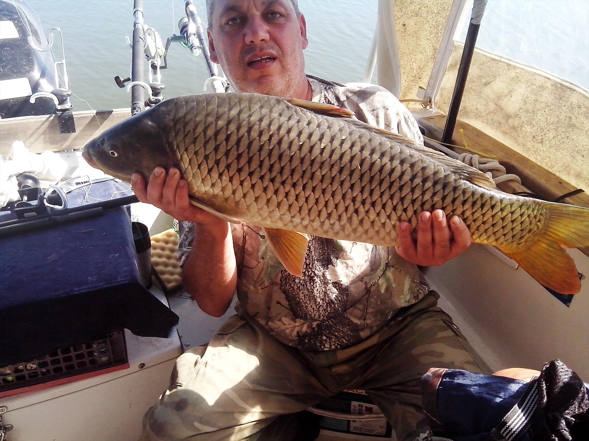 Sulina septembrie 2014 - img20140925141130.jpg